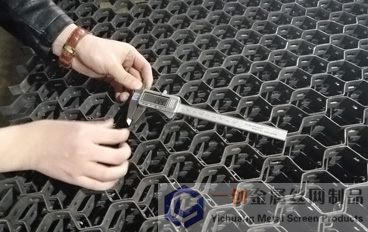 電廠專(zhuān)用龜甲網(wǎng) 